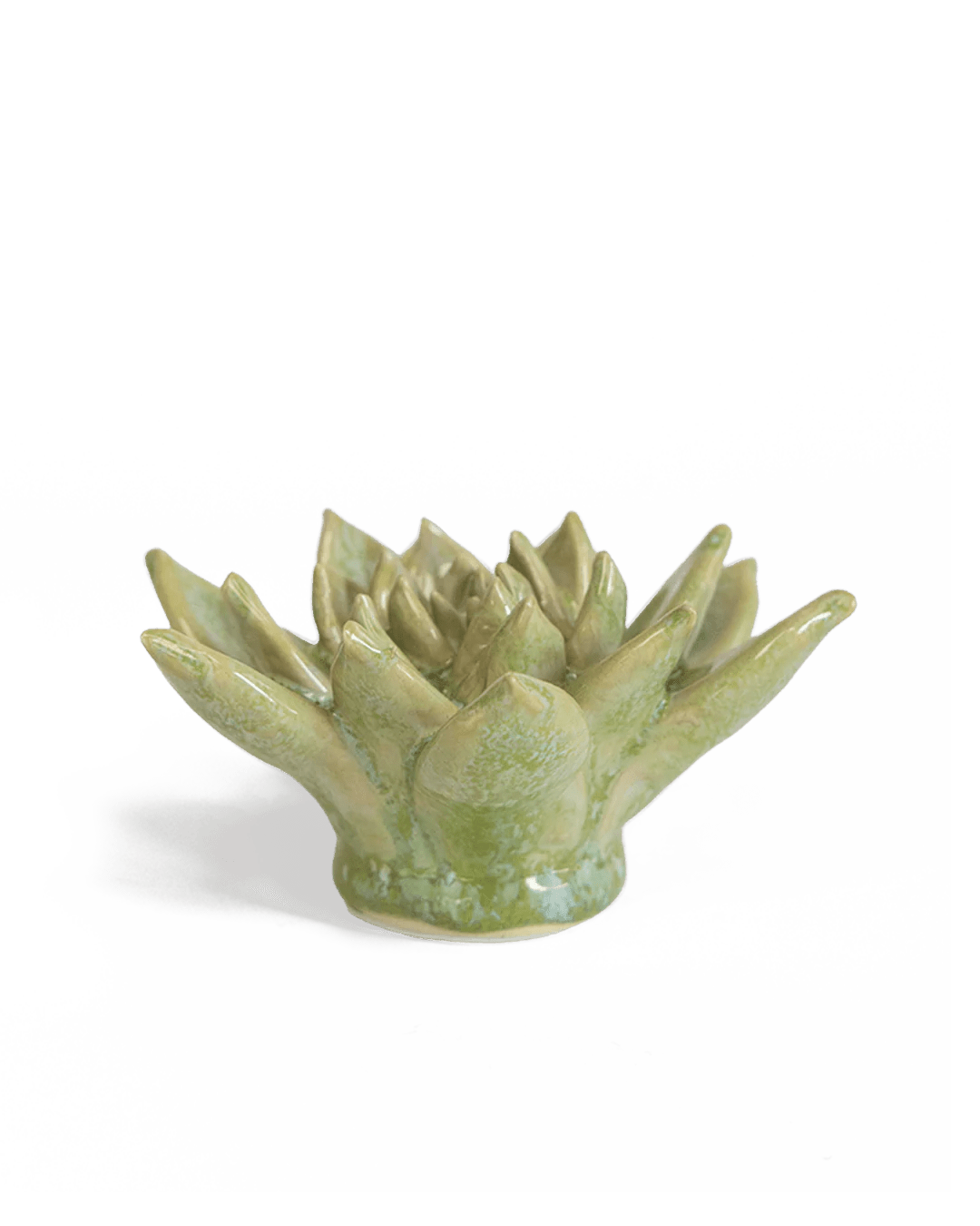 Japan Ceramic Flower Green Succulent - Chive UK