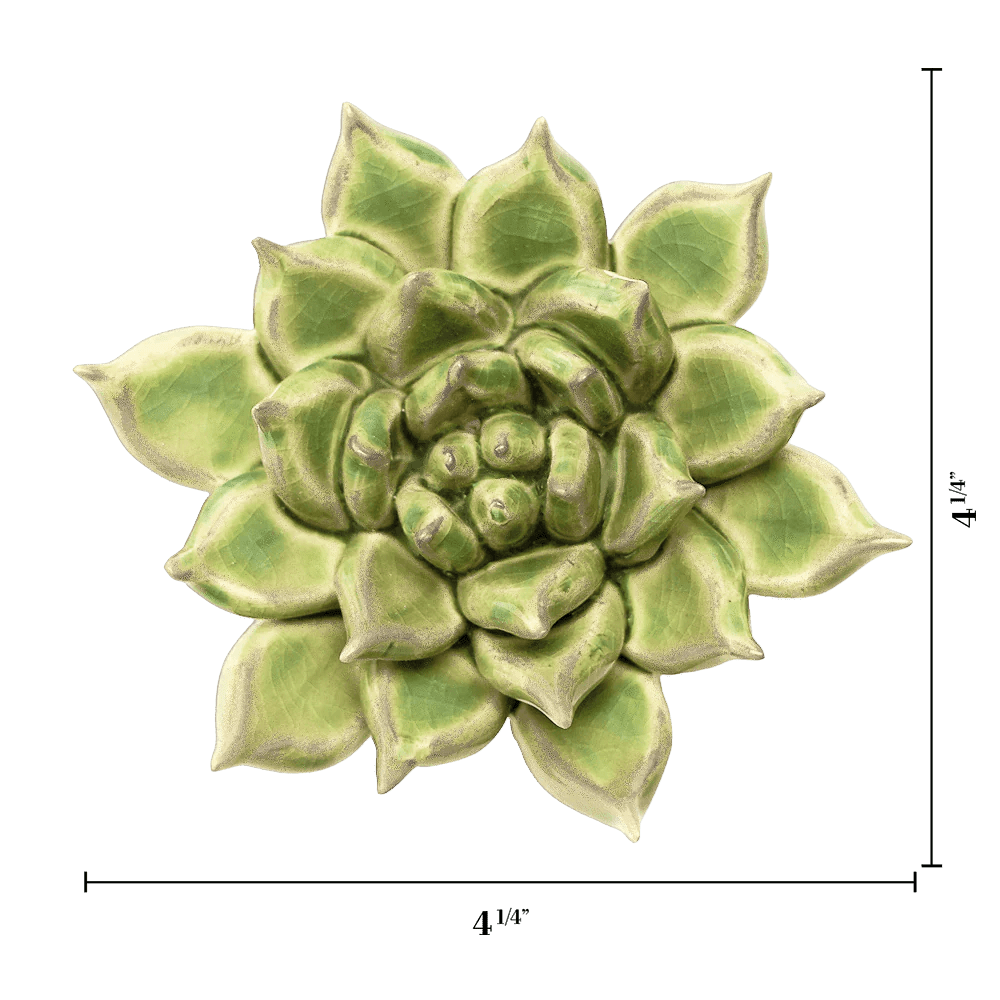 Pea Green Ghost Succulent - Chive UK