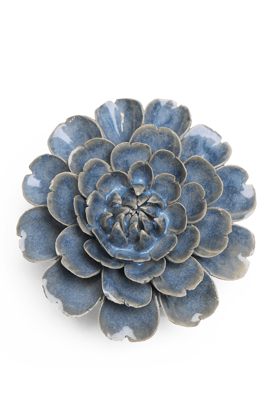 Fancy Blue Fiesta Marigold - Chive UK