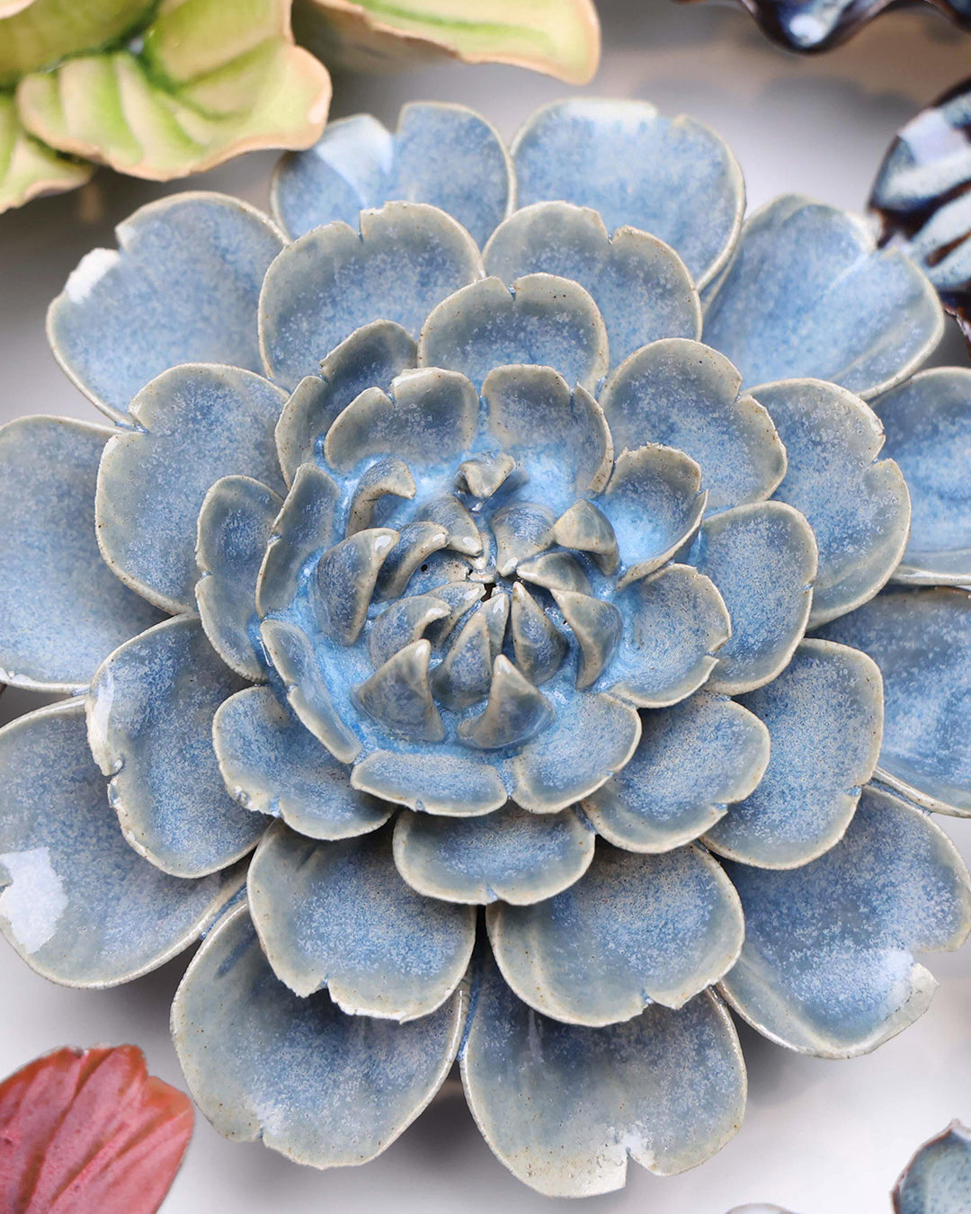 Fancy Blue Fiesta Marigold - Chive UK