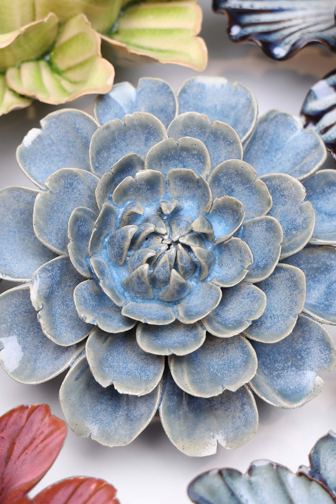 Fancy Blue Fiesta Marigold - Chive UK