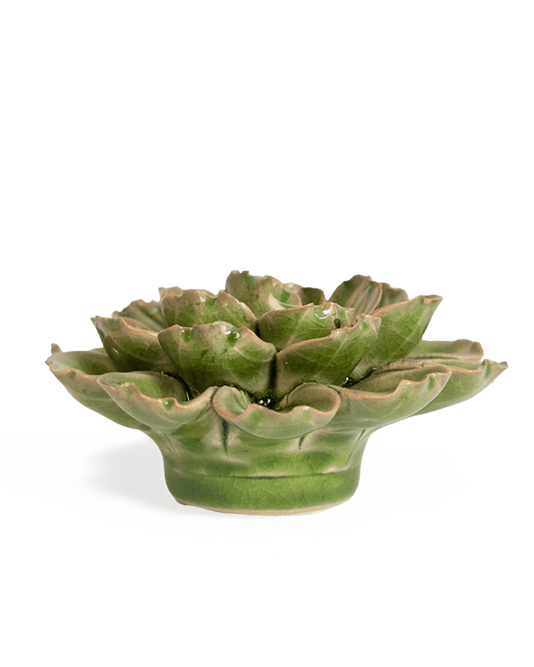Japan Ceramic Flower Olive Petunia - Chive UK
