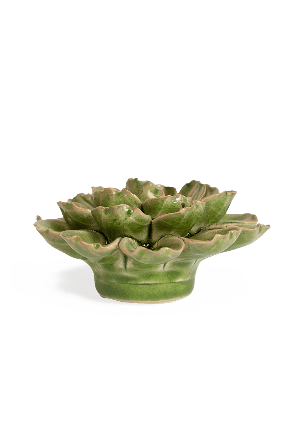 Avocado Green Petunia - Chive UK