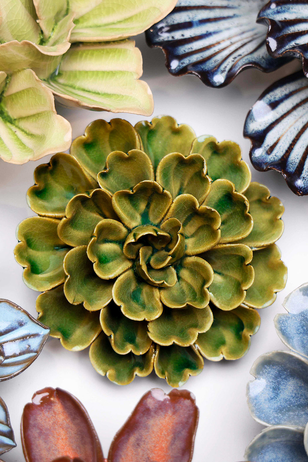 Avocado Green Petunia - Chive UK