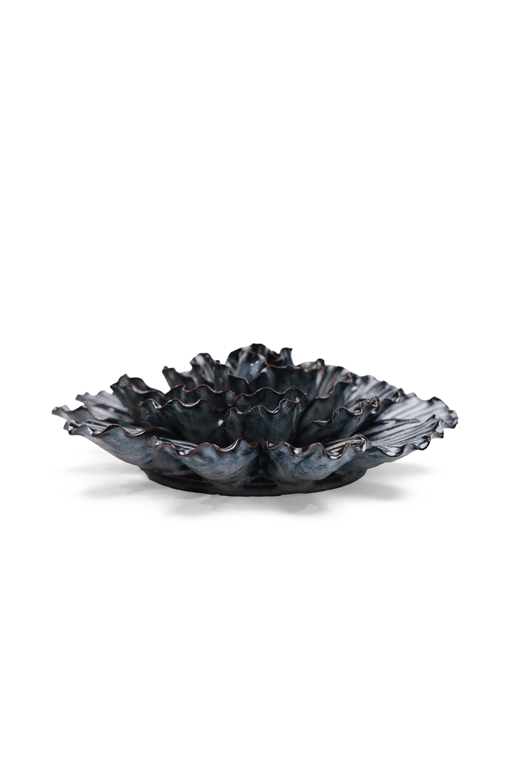 Navy Dinner Plate Dahlia - Chive UK