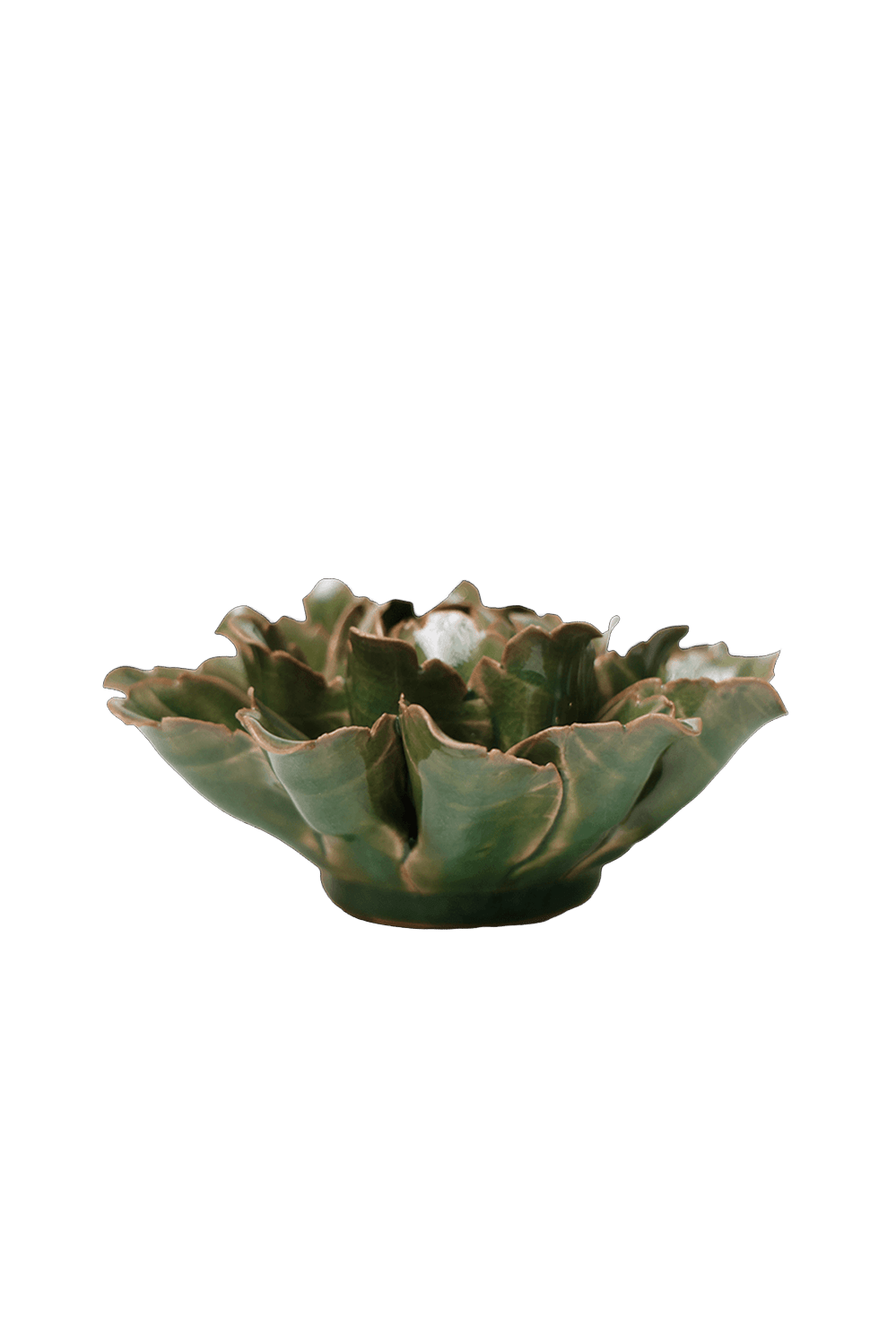 Avocado Green Sorbet Peony - Chive UK