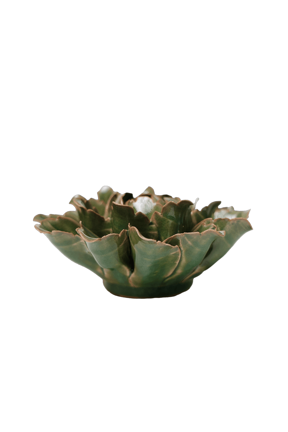 Avocado Green Sorbet Peony - Chive UK