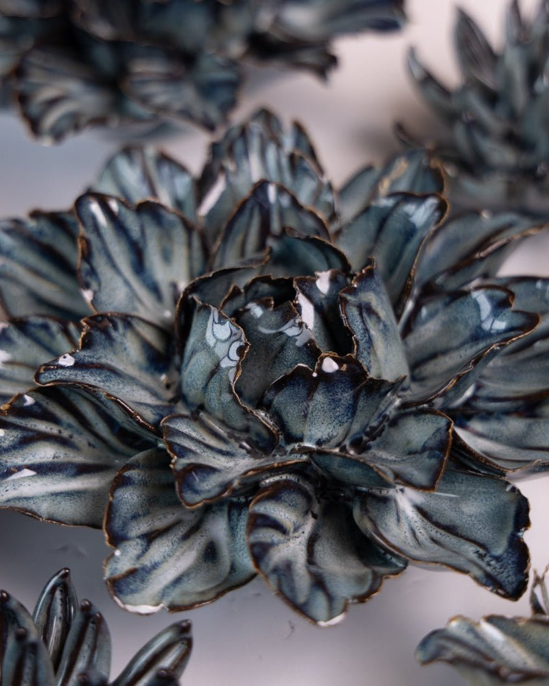 Japan Curated Collection 3 - Chive UK