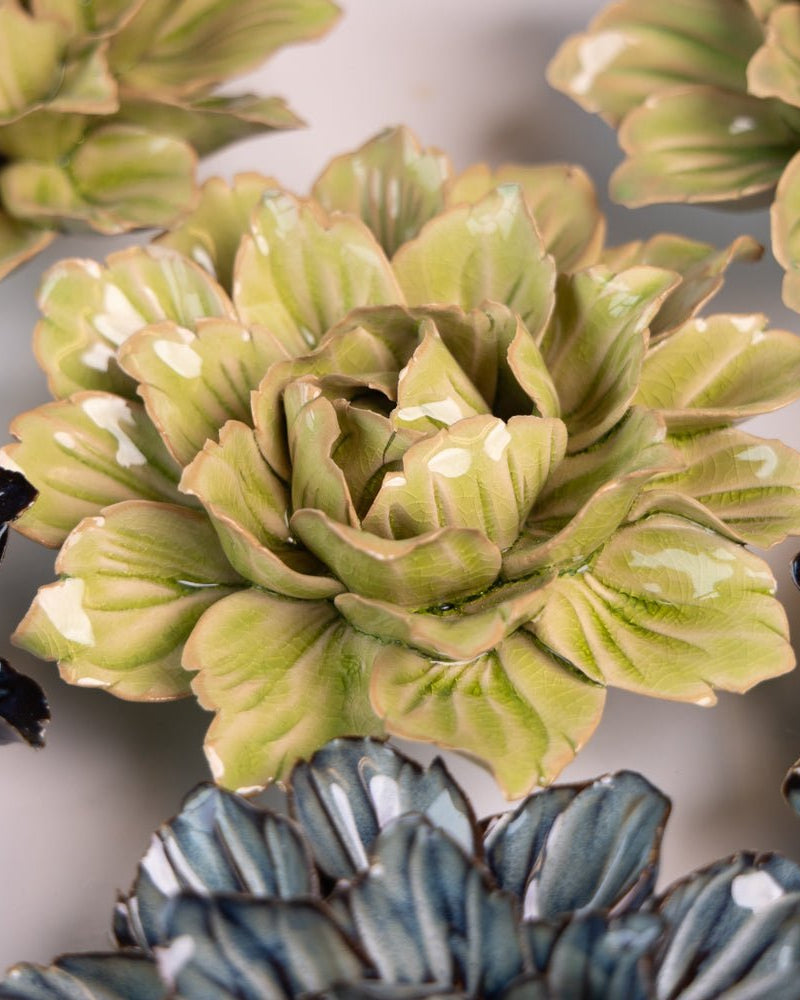 Japan Curated Collection 5 - Chive UK