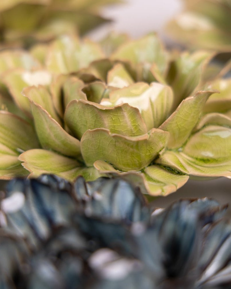 Japan Curated Collection 5 - Chive UK