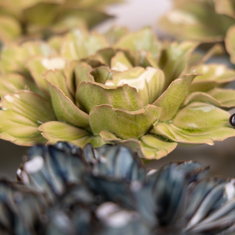 Japan Curated Collection 5 - Chive UK