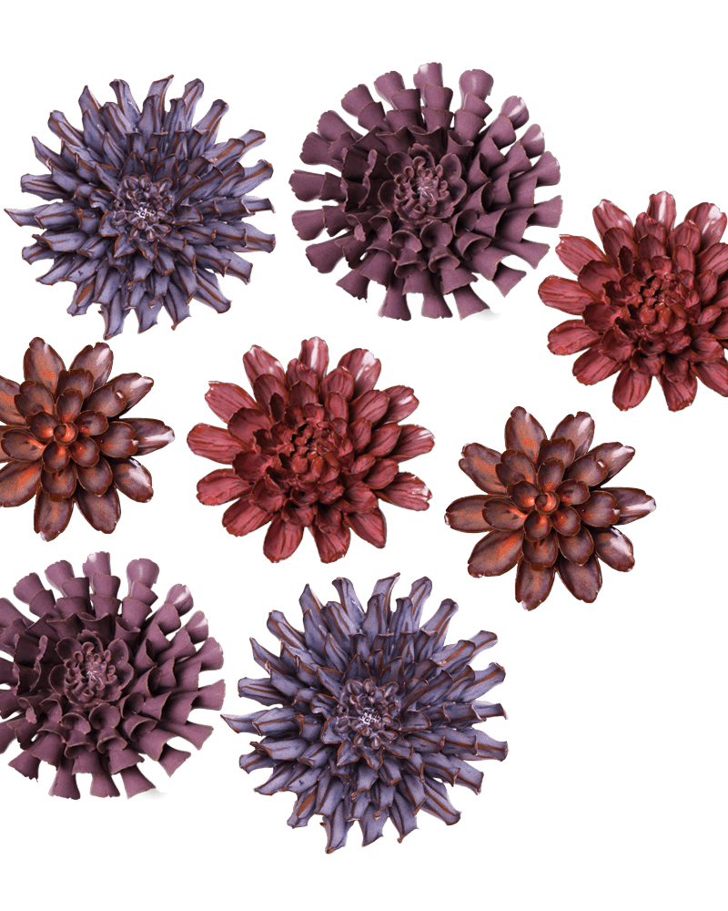 Japan Curated Collection 6 - Chive UK