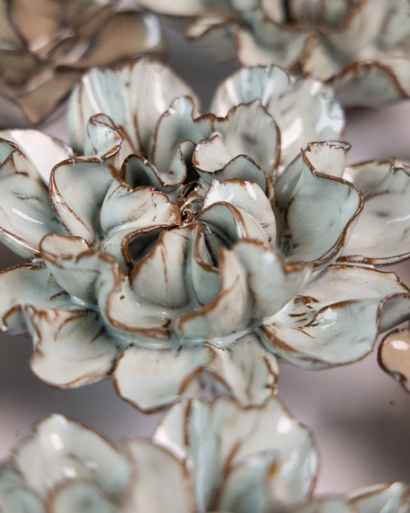 Japan Curated Collection 7 - Chive UK