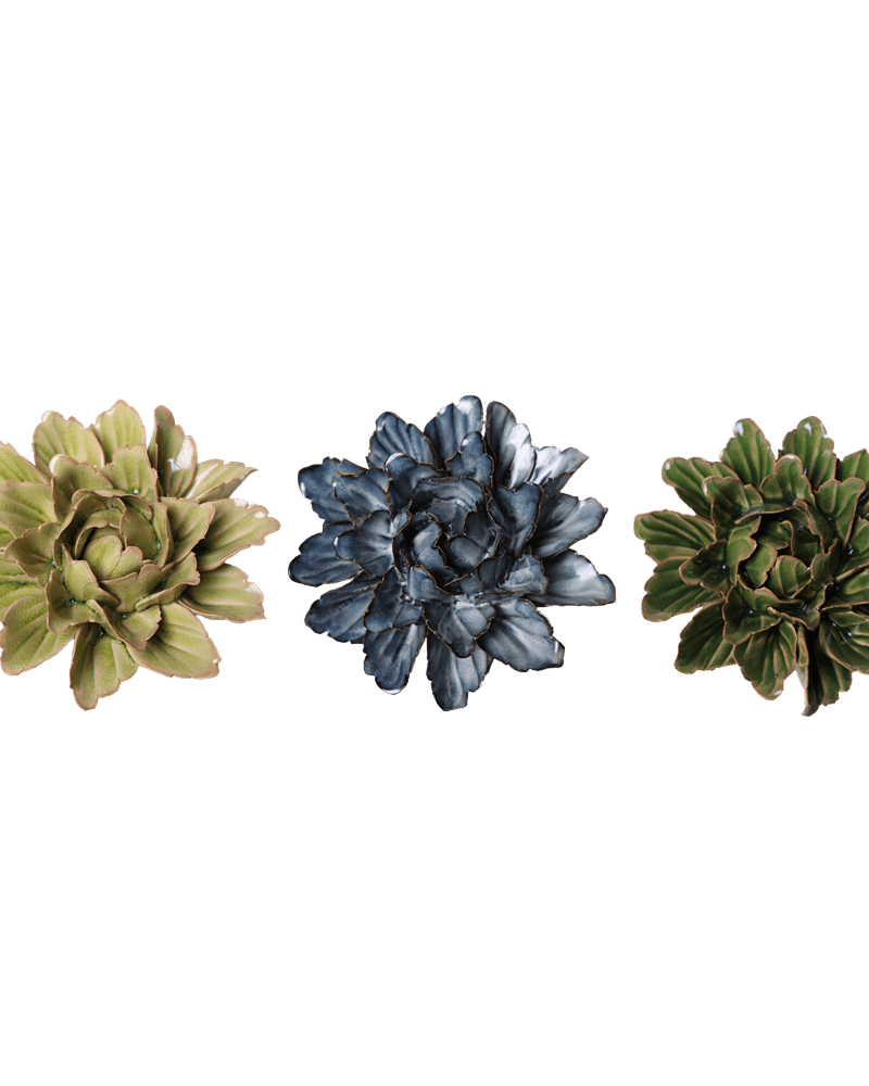 Japan Curated Collection 8 - Chive UK