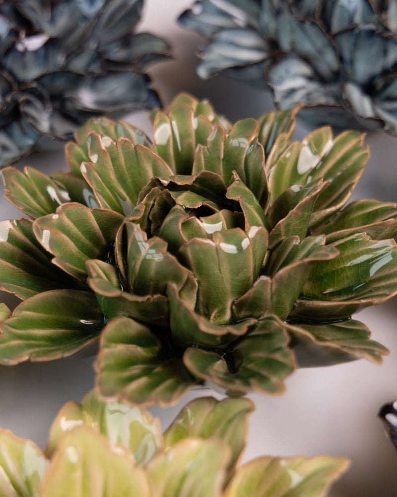 Japan Curated Collection 8 - Chive UK