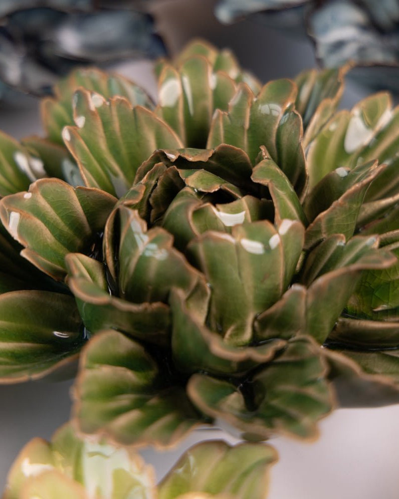 Japan Curated Collection 8 - Chive UK