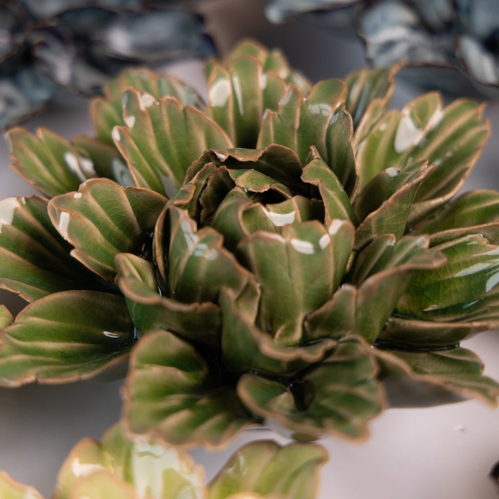 Japan Curated Collection 8 - Chive UK