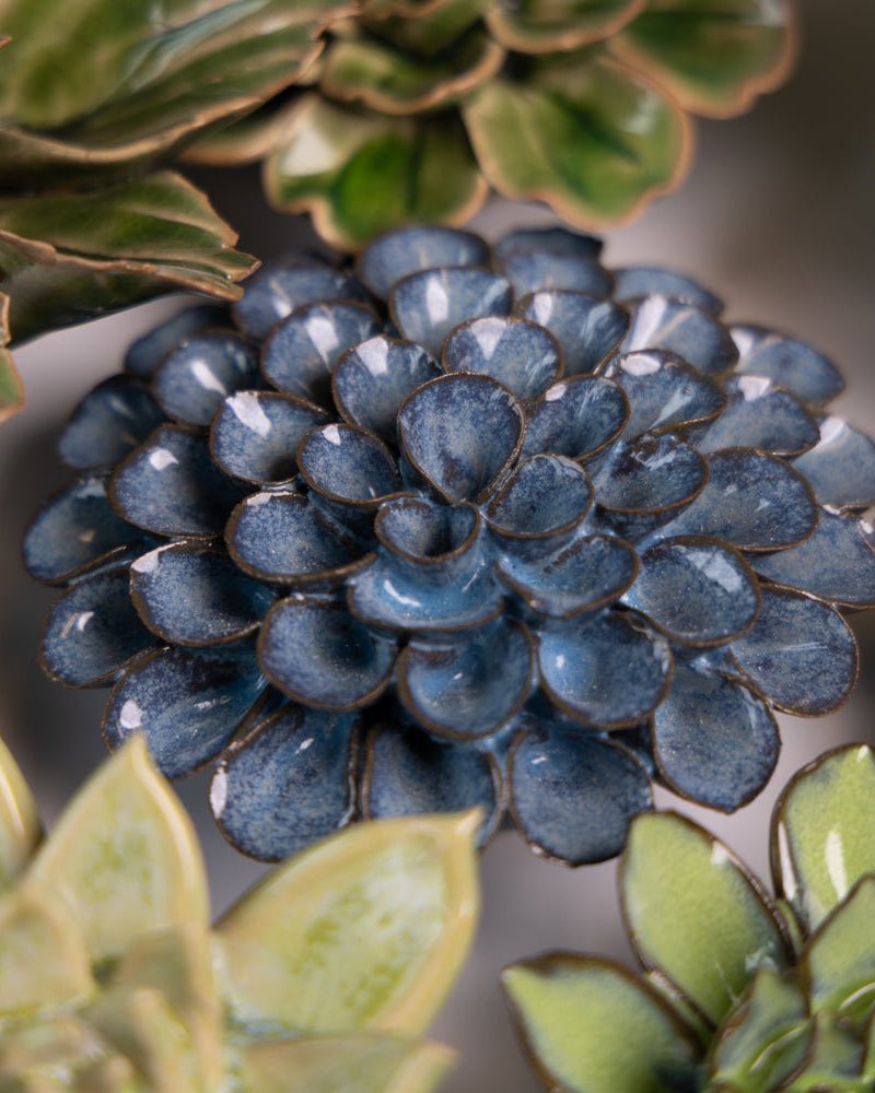 Japan Curated Collection 9 - Chive UK