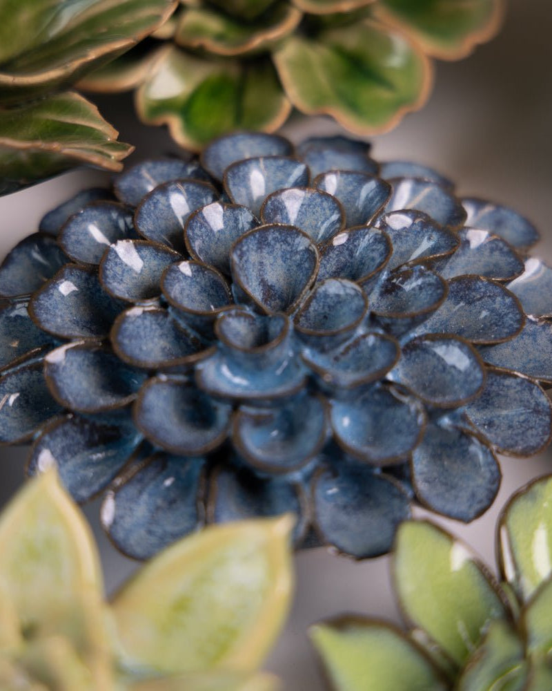 Japan Curated Collection 9 - Chive UK