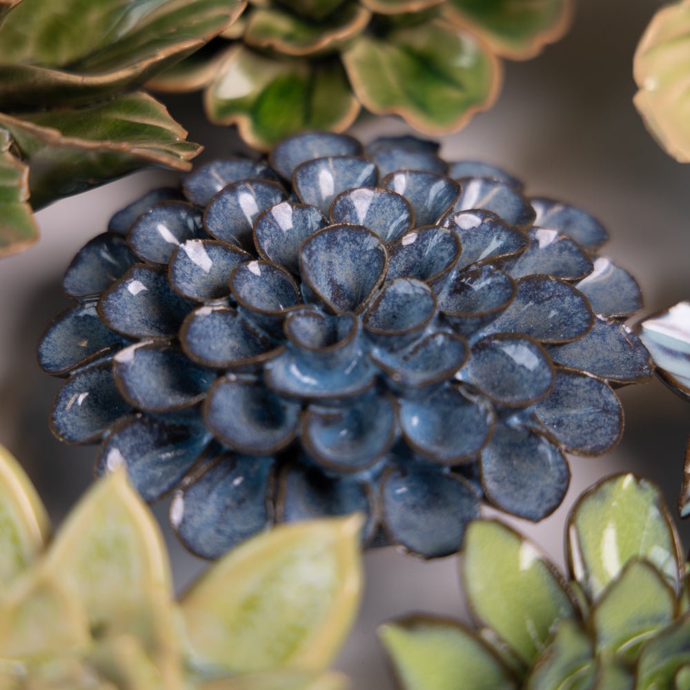 Japan Curated Collection 9 - Chive UK