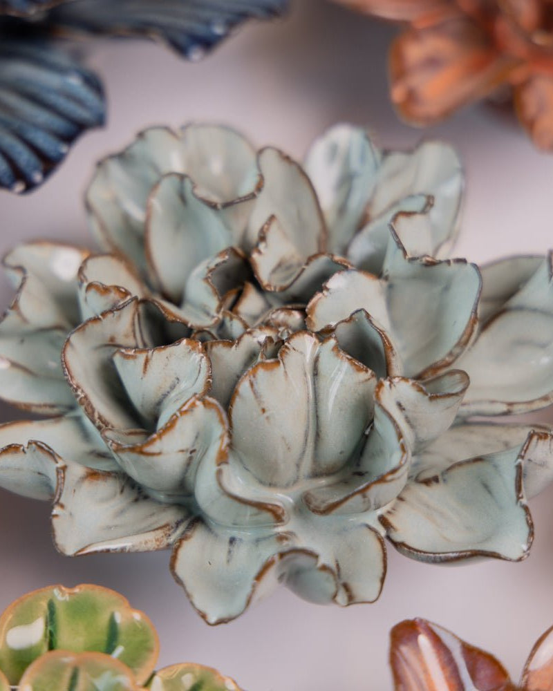 Japan Curated Collection 11 - Chive UK