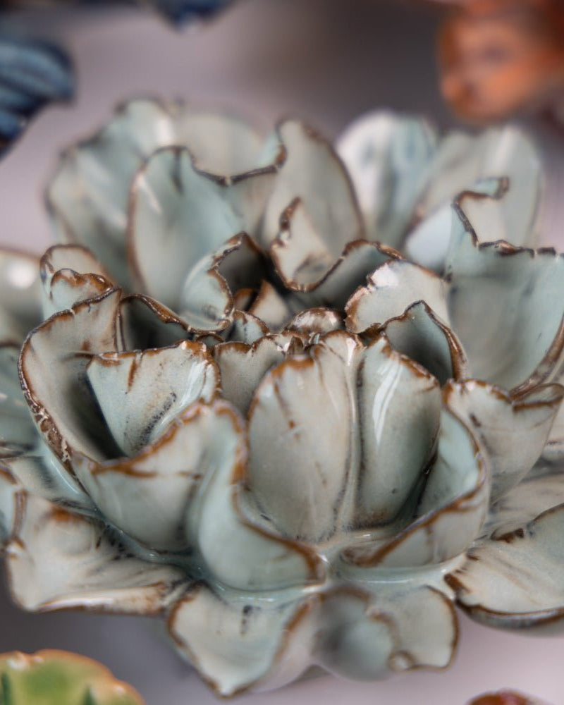 Japan Curated Collection 11 - Chive UK