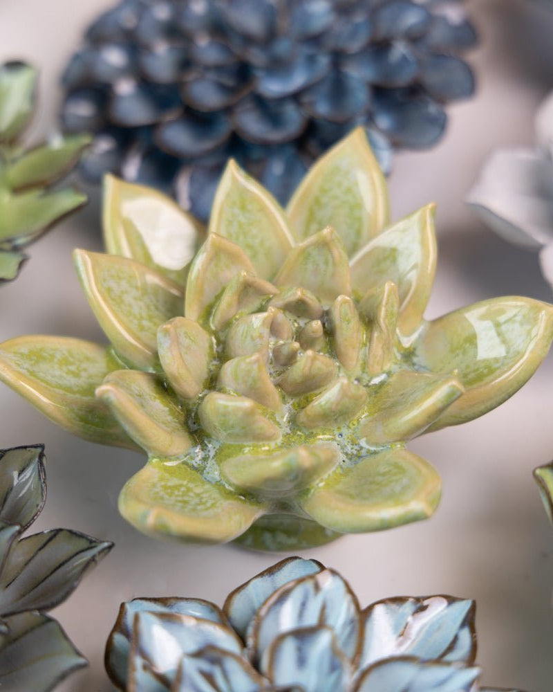 Japan Curated Collection 13 - Chive UK