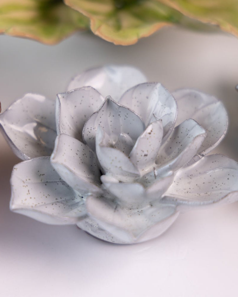 Japan Curated Collection 16 - Chive UK