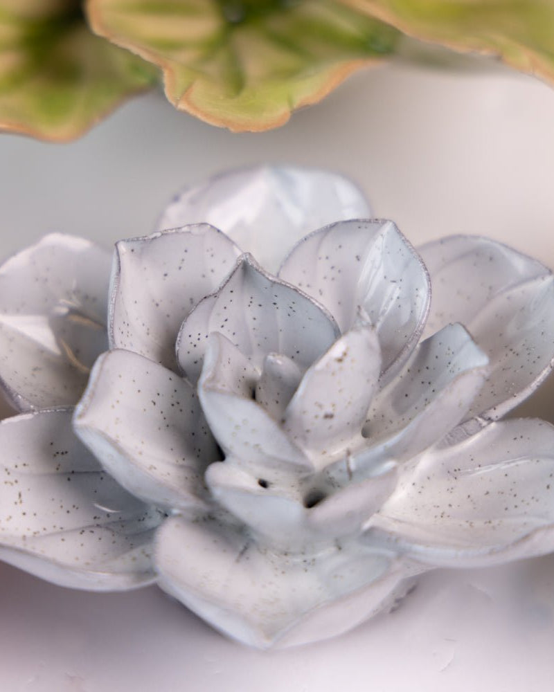 Japan Curated Collection 16 - Chive UK