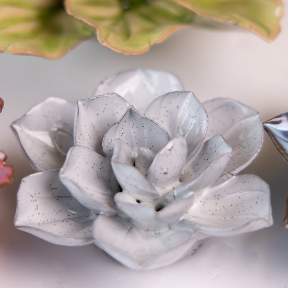 Japan Curated Collection 16 - Chive UK