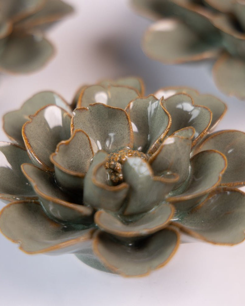 Japan Curated Collection 18 - Chive UK