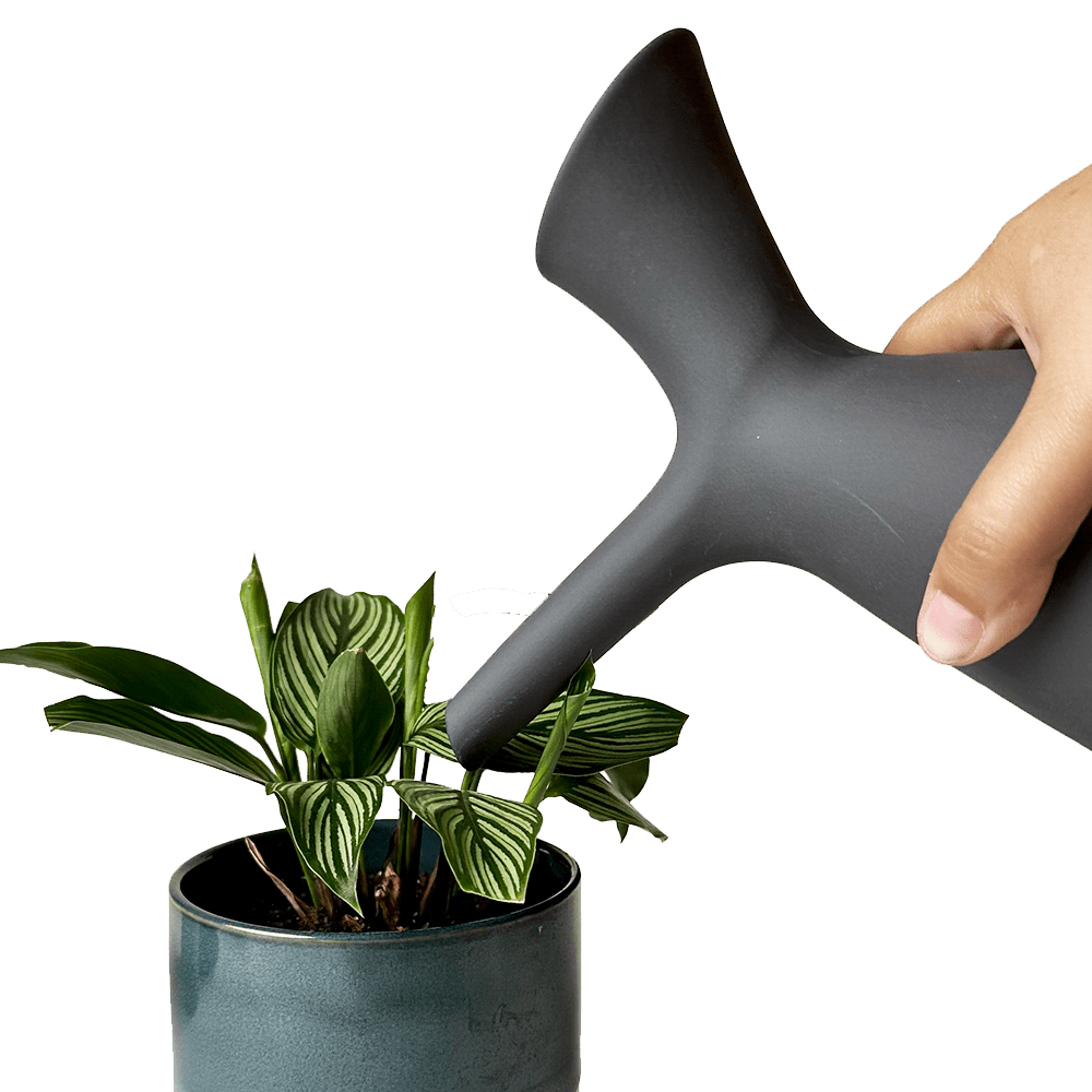 Jessie Ceramic Watering Jug - Chive UK