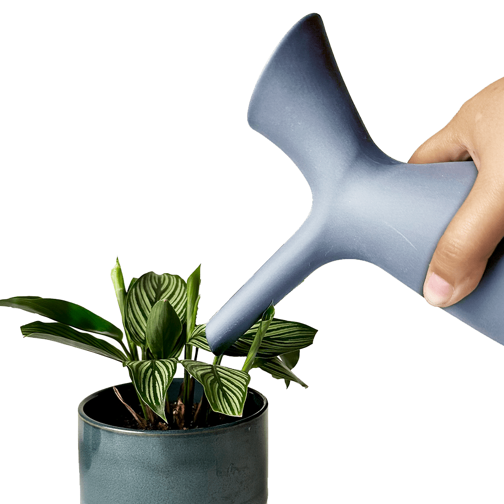 Jessie Ceramic Watering Jug - Chive UK