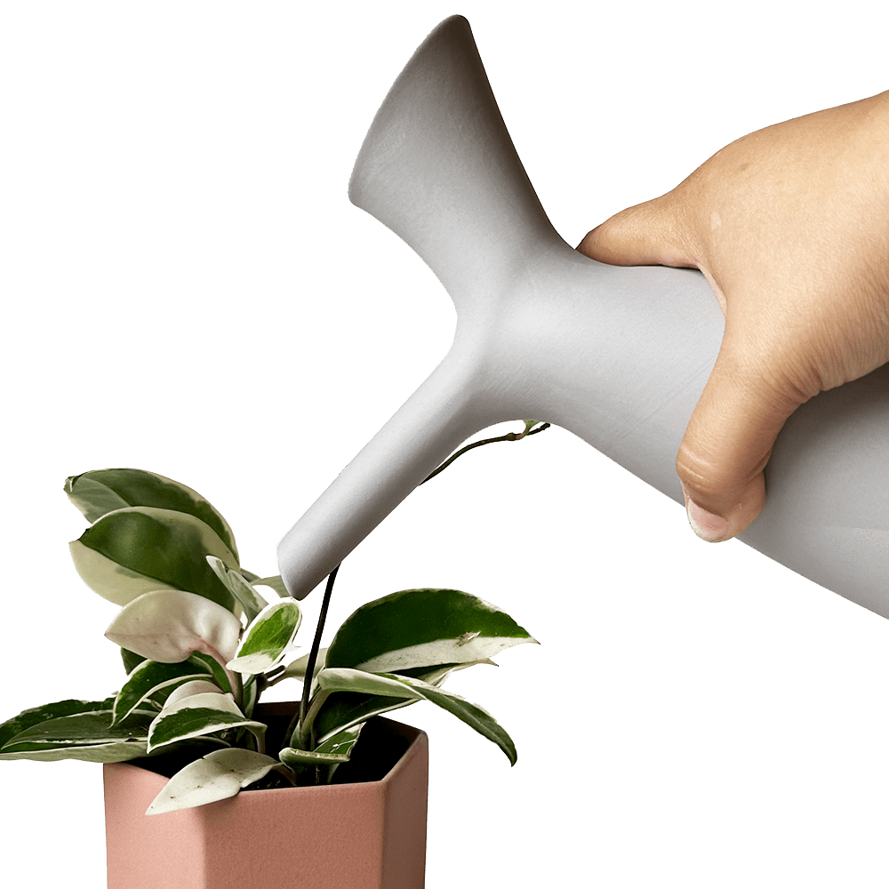 Jessie Ceramic Watering Jug - Chive UK