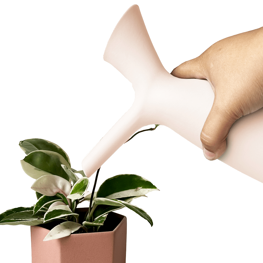 Jessie Ceramic Watering Jug - Chive UK