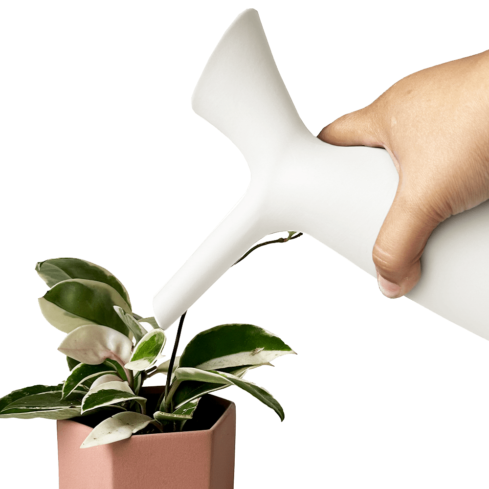 Jessie Ceramic Watering Jug - Chive UK