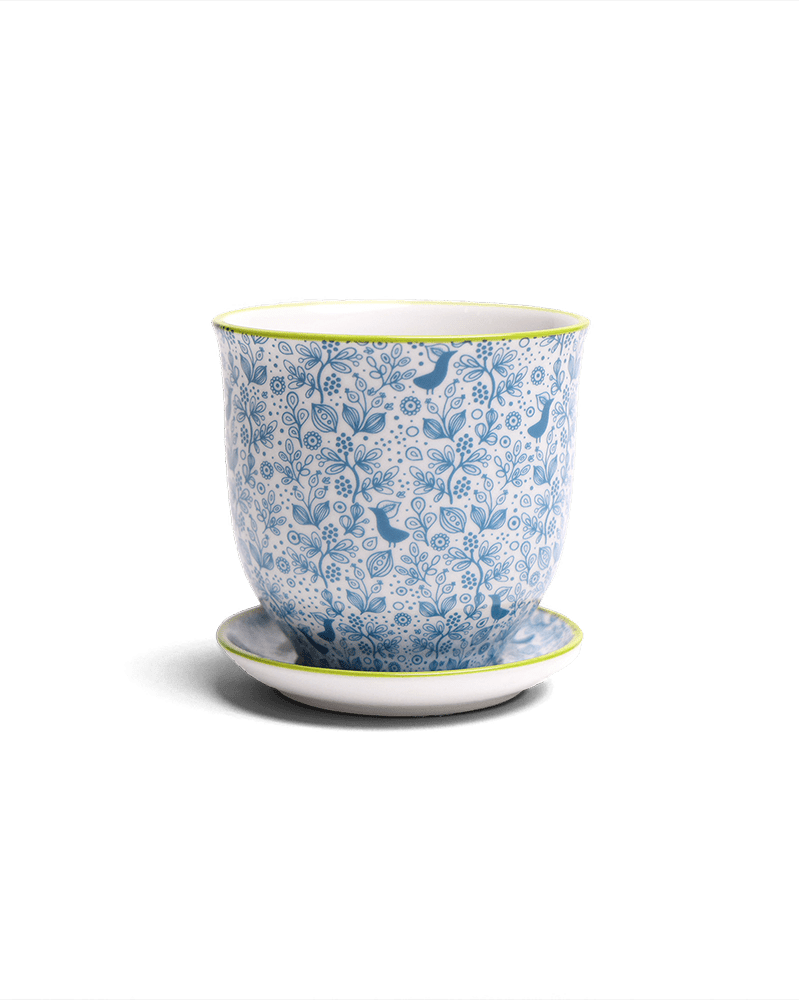 Liberte Porcelain Pot And Saucer Set With Drainage - Chive UK