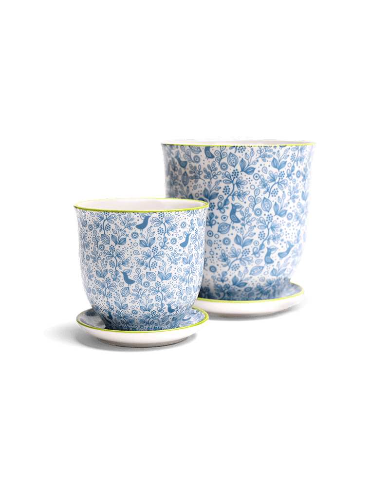 Liberte Porcelain Pot And Saucer Set With Drainage - Chive UK