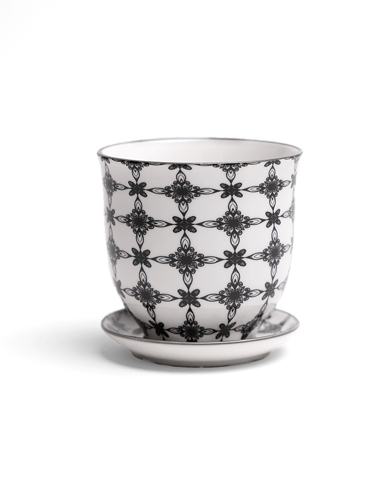Liberte Porcelain Pot And Saucer Set With Drainage - Chive UK