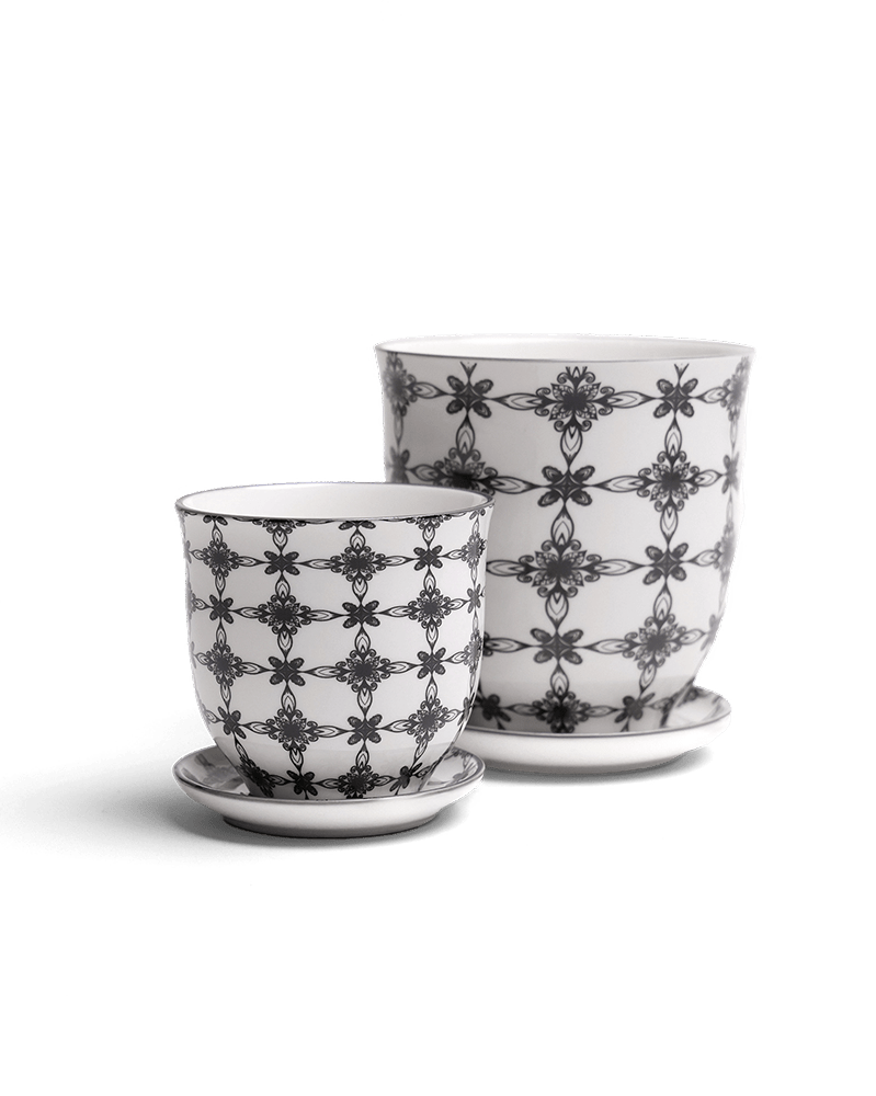 Liberte Porcelain Pot And Saucer Set With Drainage - Chive UK