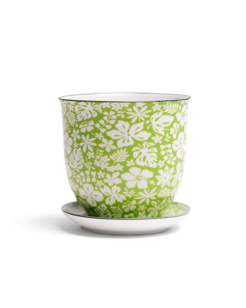 Liberte Porcelain Pot And Saucer Set With Drainage - Chive UK