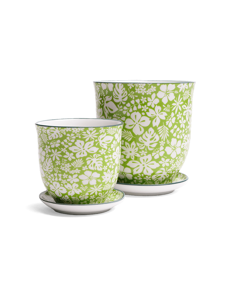 Liberte Porcelain Pot And Saucer Set With Drainage - Chive UK