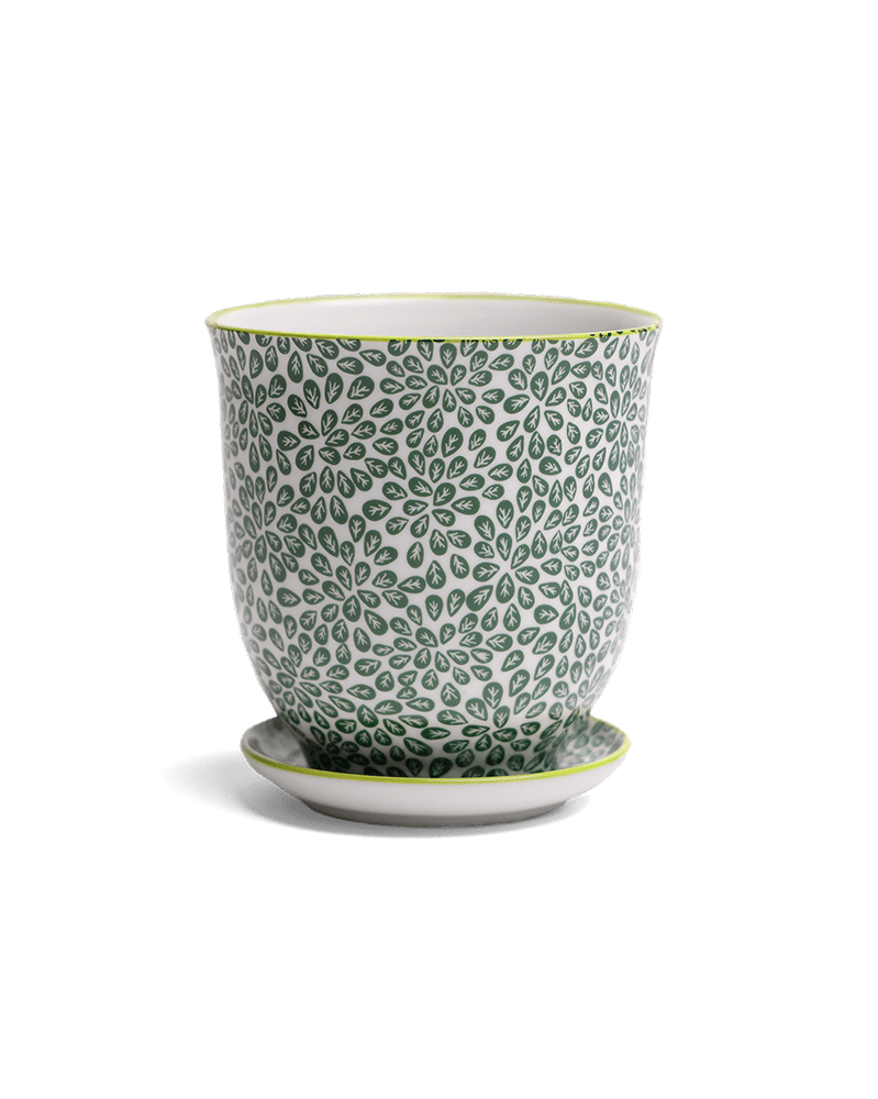 Liberte Porcelain Pot And Saucer Set With Drainage - Chive UK