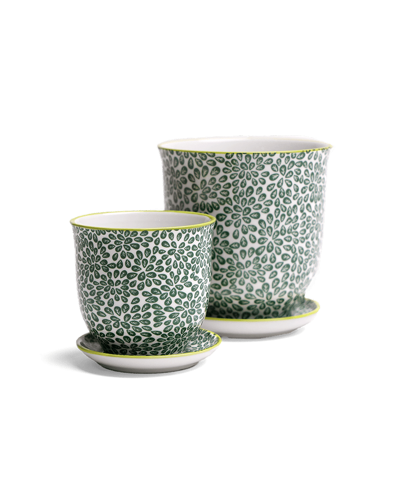 Liberte Porcelain Pot And Saucer Set With Drainage - Chive UK