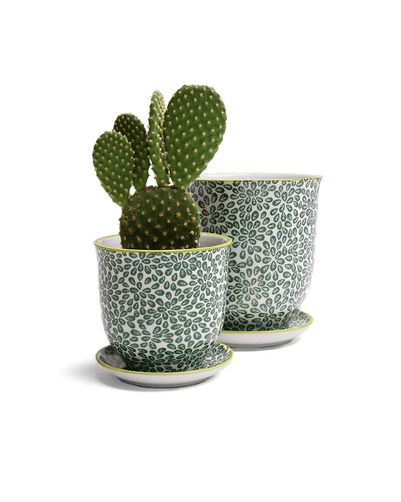 Liberte Porcelain Pot And Saucer Set With Drainage - Chive UK