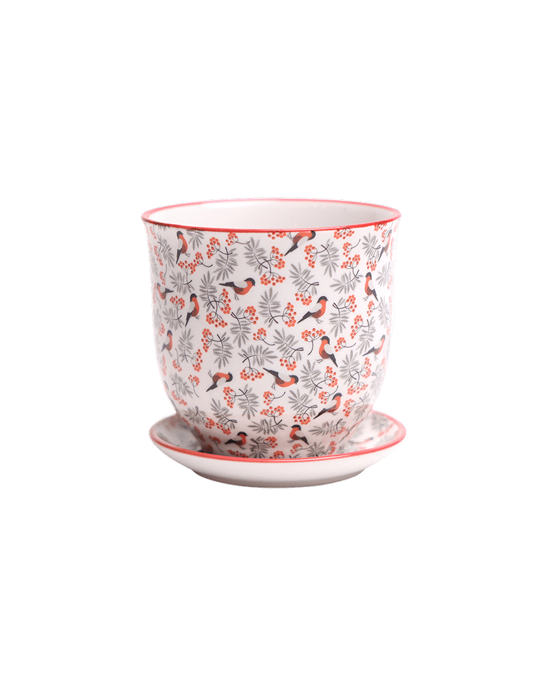 Liberte Porcelain Pot And Saucer Set With Drainage - Chive UK