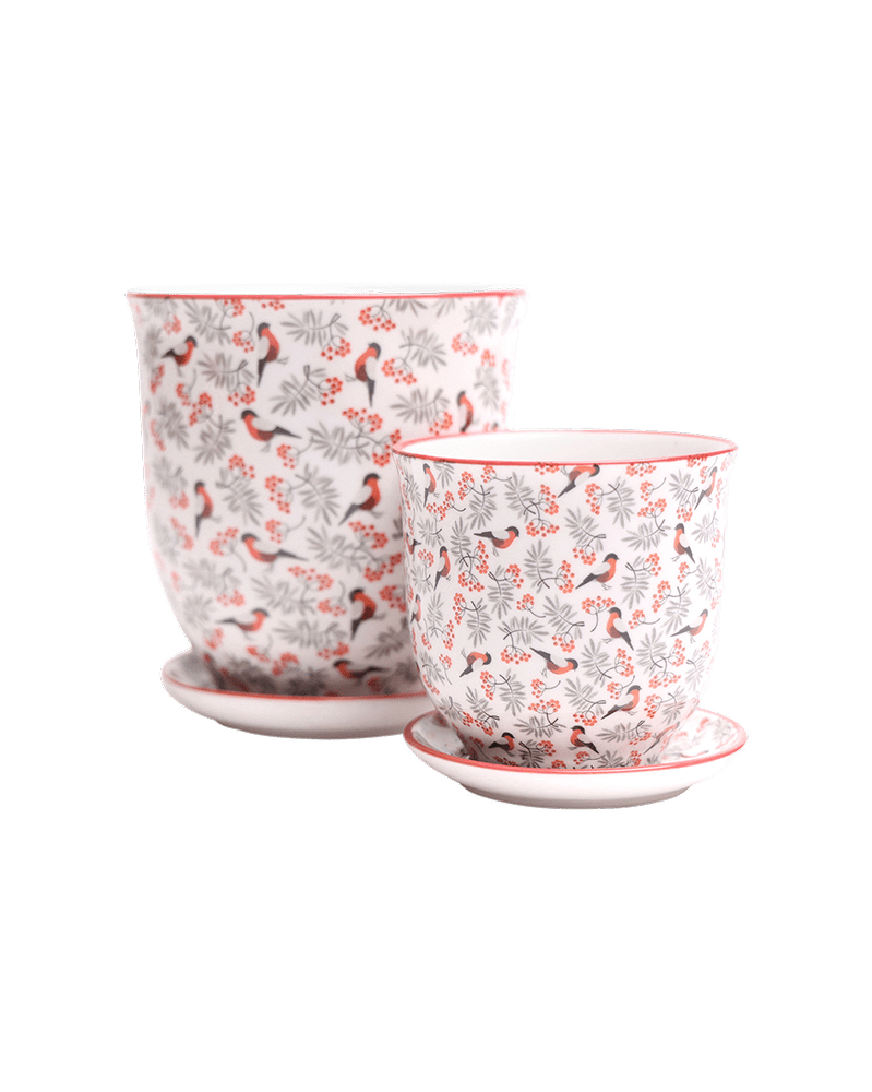 Liberte Porcelain Pot And Saucer Set With Drainage - Chive UK