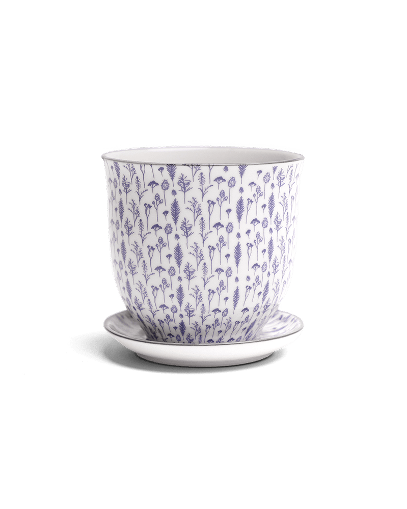 Liberte Porcelain Pot And Saucer Set With Drainage - Chive UK