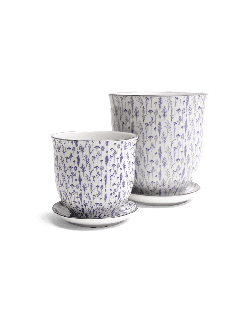 Liberte Porcelain Pot And Saucer Set With Drainage - Chive UK