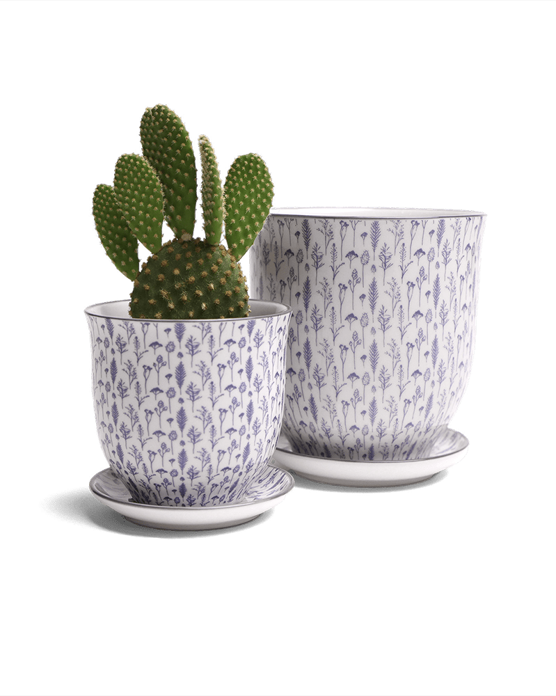 Liberte Porcelain Pot And Saucer Set With Drainage - Chive UK